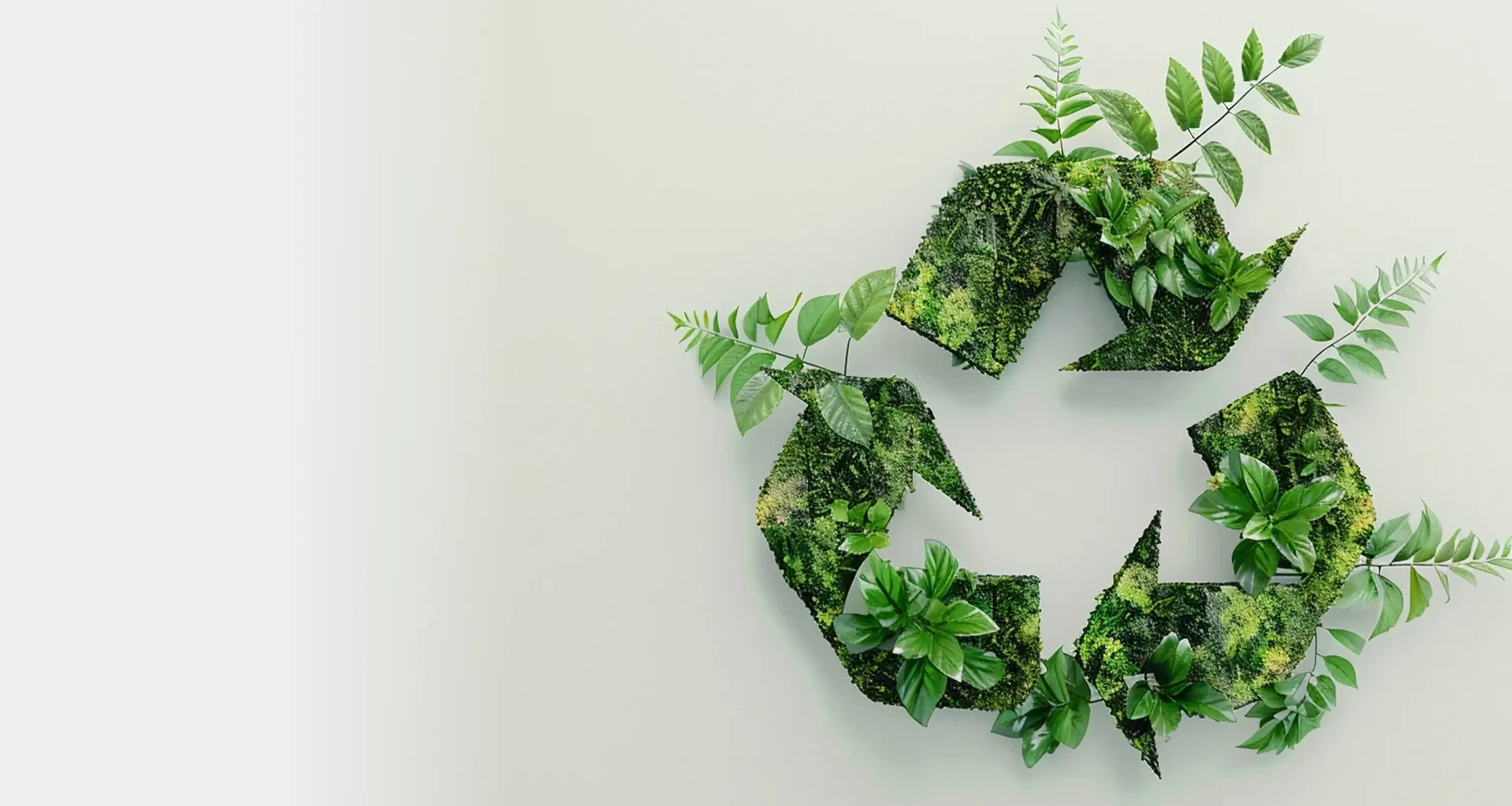 Circular Economy and Resource Management
