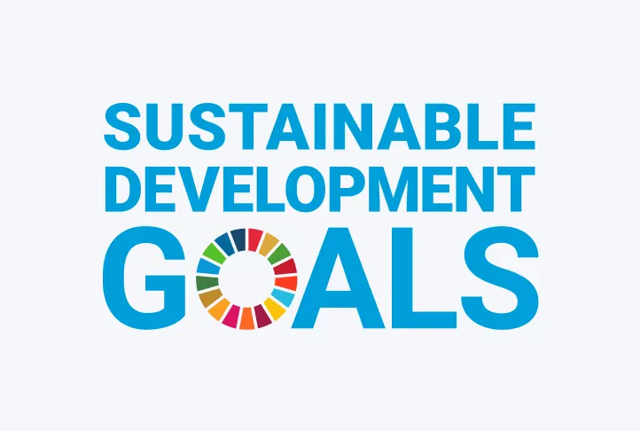 United Nations Sustainable Development Goals (SDGs)